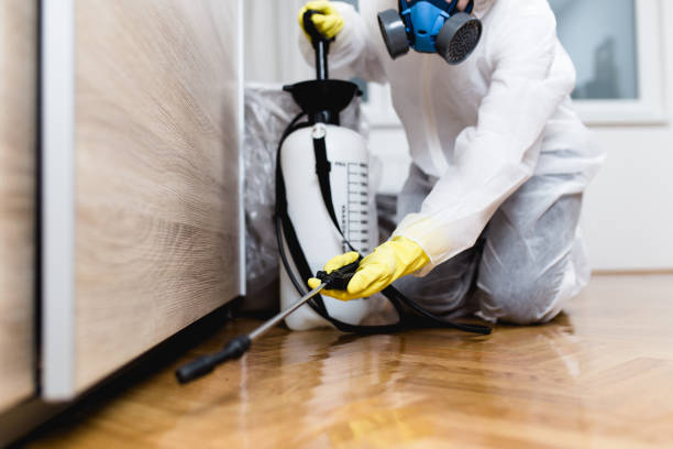 Best Local Pest Control Services  in Clarkesville, GA