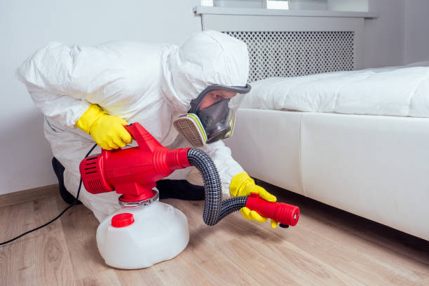 Best Bed Bug Extermination  in Clarkesville, GA