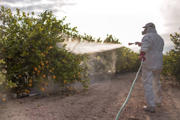 Best Mosquito Control Services  in Clarkesville, GA