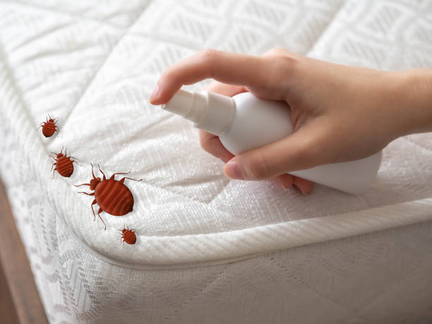 Best Emergency Pest Control  in Clarkesville, GA
