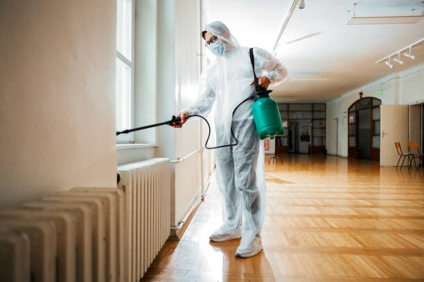 Best Affordable Pest Control Services  in Clarkesville, GA