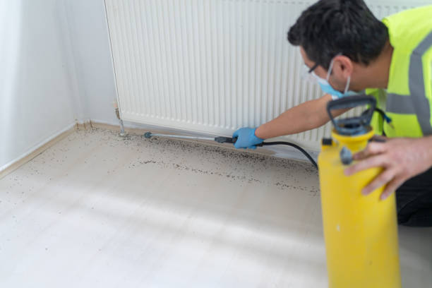 Reliable Clarkesville, GA Pest Control Solutions