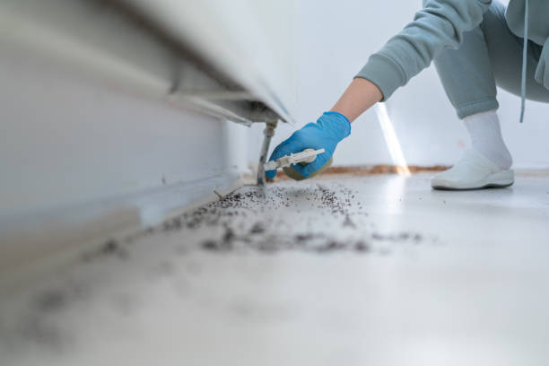 Trusted Clarkesville, GA Pest Control Experts