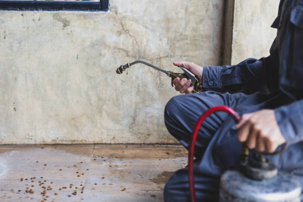 Best Best Pest Control Companies  in Clarkesville, GA