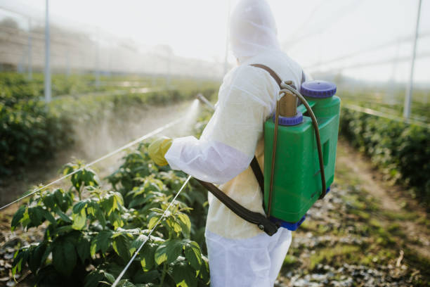 Best Residential Pest Control  in Clarkesville, GA